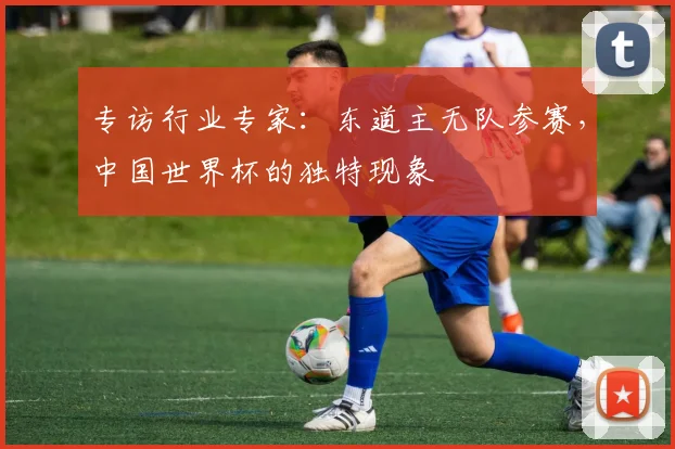 专访行业专家：东道主无队参赛，中国世界杯的独特现象